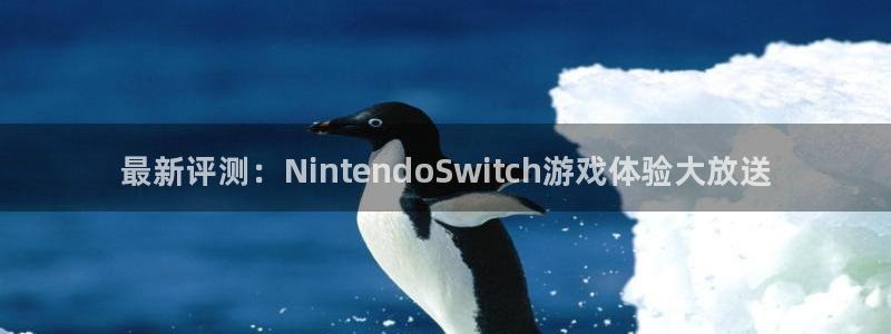 赢咖娱乐游戏