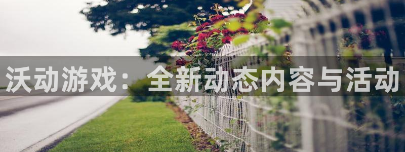 赢咖娱乐娱乐是真的吗