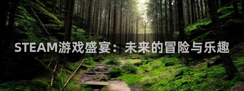 赢咖娱乐登陆测速：STEAM游戏盛宴：未来的冒险与乐趣