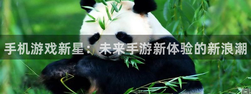 赢咖娱乐平台官网登录：手机游戏新星：未来手游新体验的新浪潮