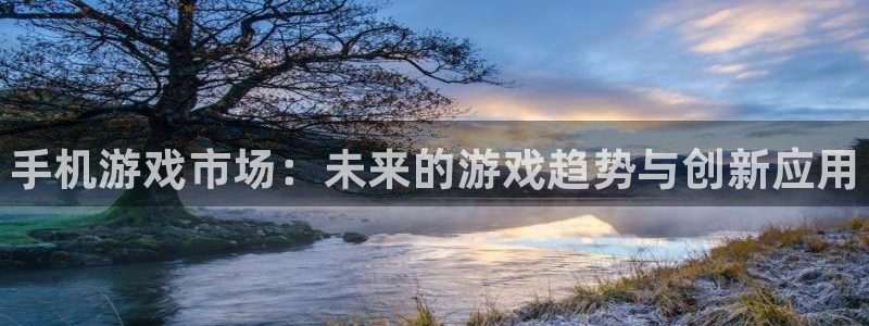 赢咖娱乐app下载|下载地址：手机游戏市场：未来的游戏趋势与