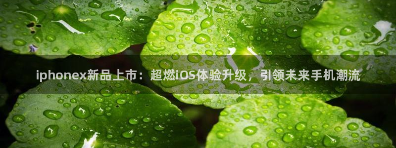赢咖娱乐登陆测速：iphonex新品上市：超燃iOS体验升级