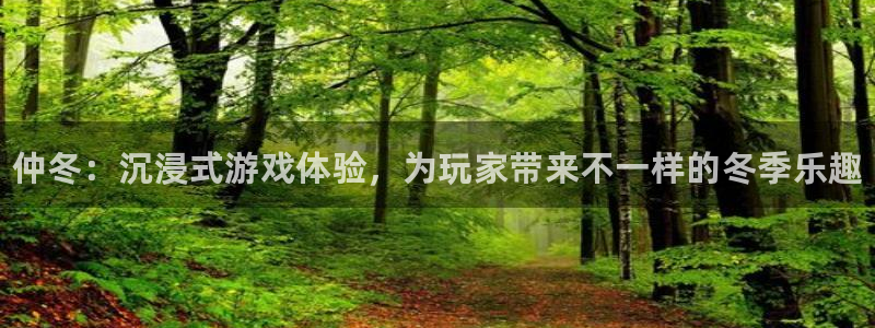 赢咖娱乐注册账号：仲冬：沉浸式游戏体验，为玩家带来不一样的冬