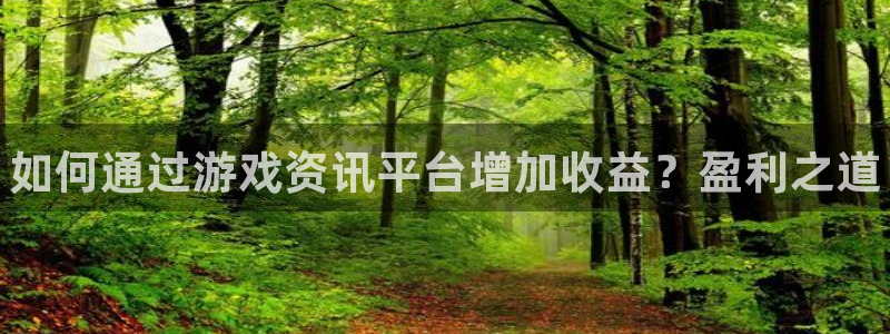 赢咖娱乐注册网站：如何通过游戏资讯平台增加收益？盈利之道