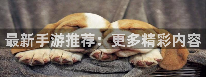 赢咖娱乐注册：最新手游推荐：更多精彩内容