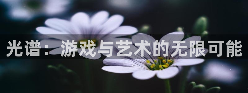 赢咖娱乐的意思：光谱：游戏与艺术的无限可能