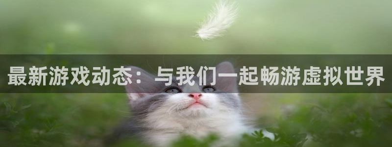 赢咖娱乐娱乐是真的吗:最新游戏动态:与我们一起畅游虚拟世界