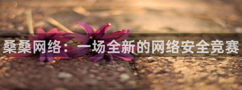赢咖娱乐平台登录：桑桑网络：一场全新的网络安全竞赛