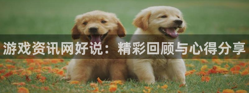 赢咖娱乐集团：游戏资讯网好说：精彩回顾与心得分享