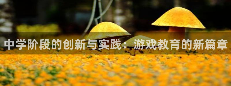 赢咖娱乐注册登录：中学阶段的创新与实践：游戏教育的新篇章