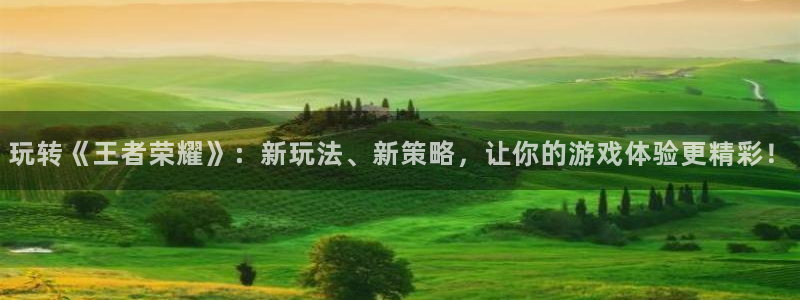 赢咖娱乐咨询：玩转《王者荣耀》：新玩法、新策略，让你的游戏体