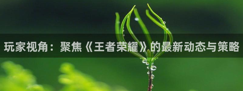 赢咖娱乐4招商：玩家视角：聚焦《王者荣耀》的最新动态与策略