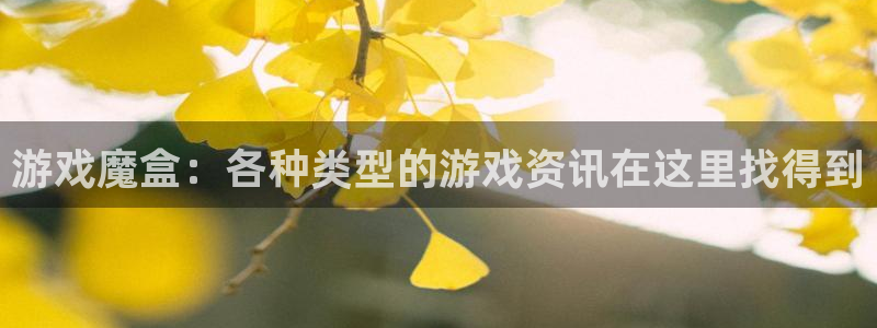 赢咖娱乐：游戏魔盒：各种类型的游戏资讯在这里找得到