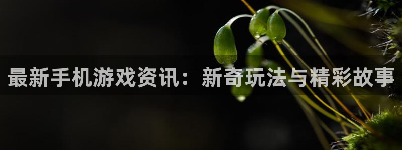 赢咖娱乐2首页登录：最新手机游戏资讯：新奇玩法与精彩故事